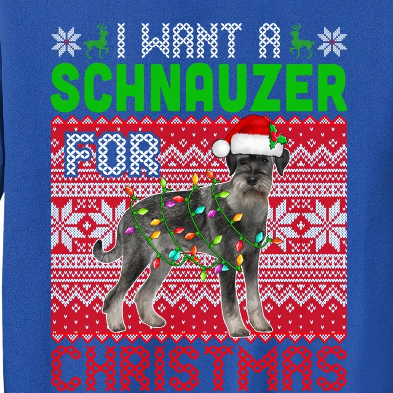 I Want A Schnauzer For Christmas Santa Dog Lover Owner Meaningful Gift Sweatshirt