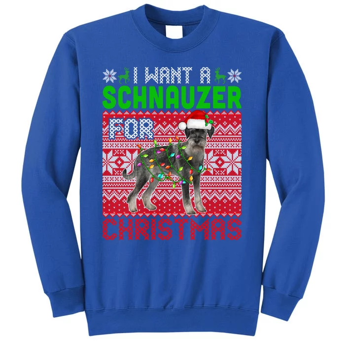 I Want A Schnauzer For Christmas Santa Dog Lover Owner Meaningful Gift Tall Sweatshirt