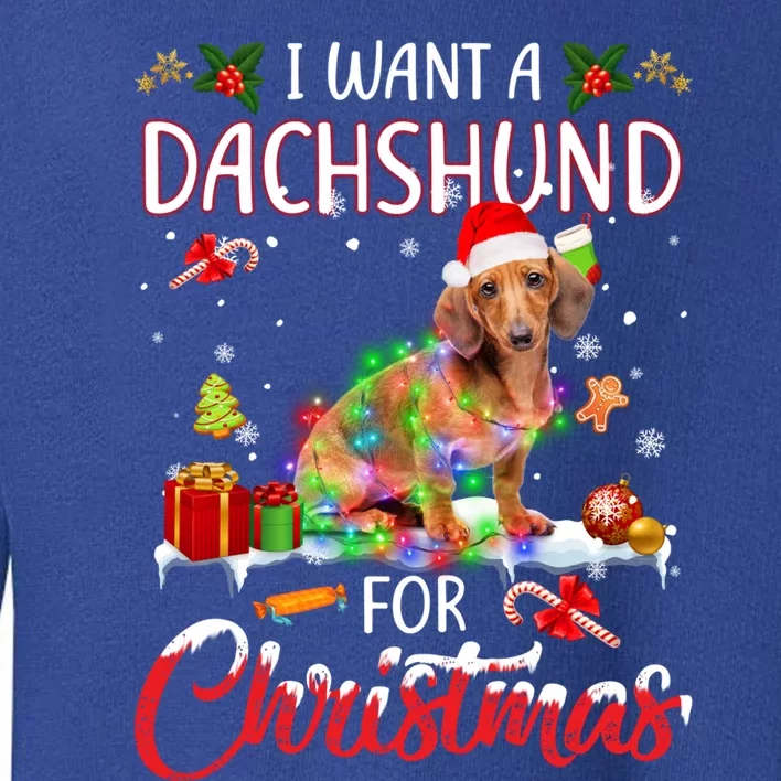 I Want A Dachshund For Christmas Xmas Lights Santa Dachshund Gift Toddler Sweatshirt