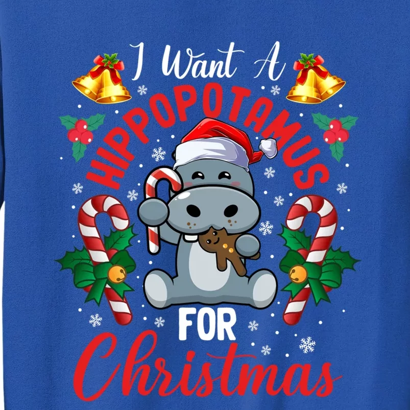 I Want A Hippopotamus For Christmas Funny Hippo Xmas Pajamas Gift Sweatshirt