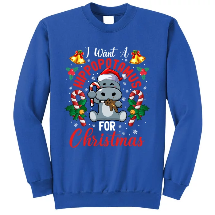 I Want A Hippopotamus For Christmas Funny Hippo Xmas Pajamas Gift Sweatshirt