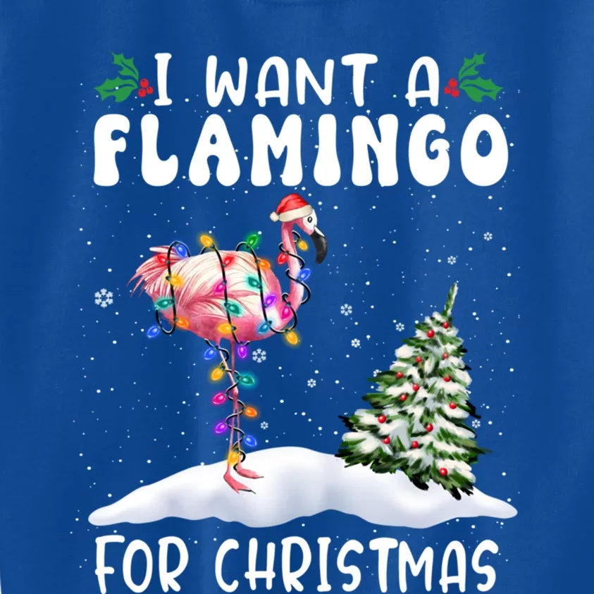 I Want A Flamingo For Christmas Santa Hat Funny Xmas Gift Kids Sweatshirt