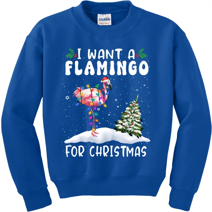 I Want A Flamingo For Christmas Santa Hat Funny Xmas Gift Kids Sweatshirt