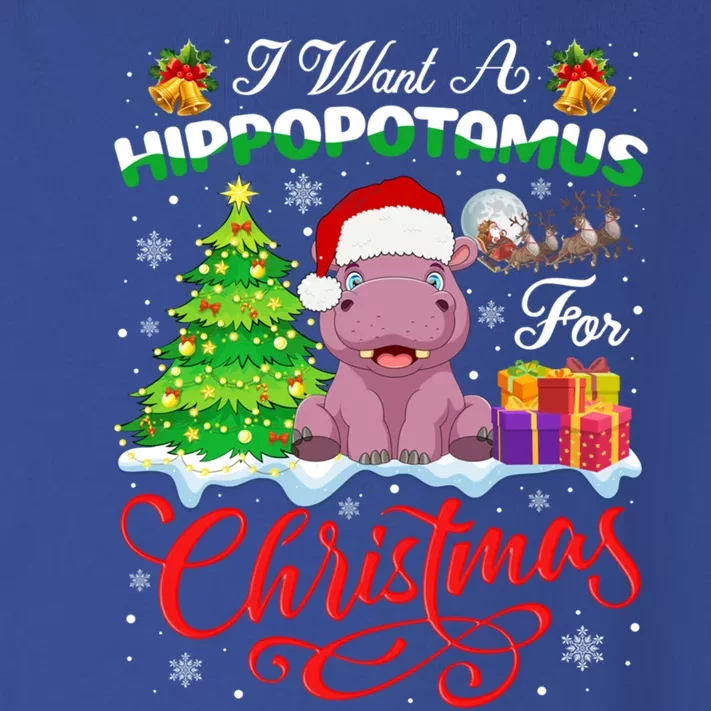 I Want A Hippopotamus For Christmas Lights Hippo Xmas Pajama Great Gift Toddler Long Sleeve Shirt