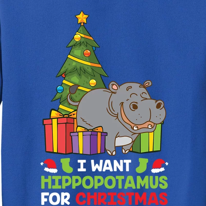 I Want A Hippopotamus For Christmas Xmas Hippo Funny Gift Tall Sweatshirt