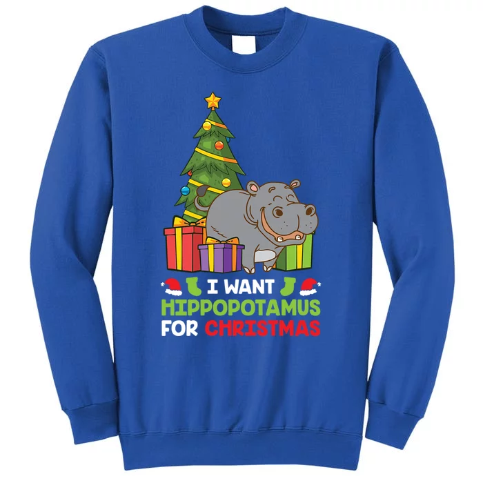 I Want A Hippopotamus For Christmas Xmas Hippo Funny Gift Tall Sweatshirt