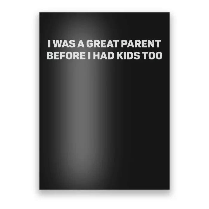 I Was A Great Parent Before I Had Too Poster