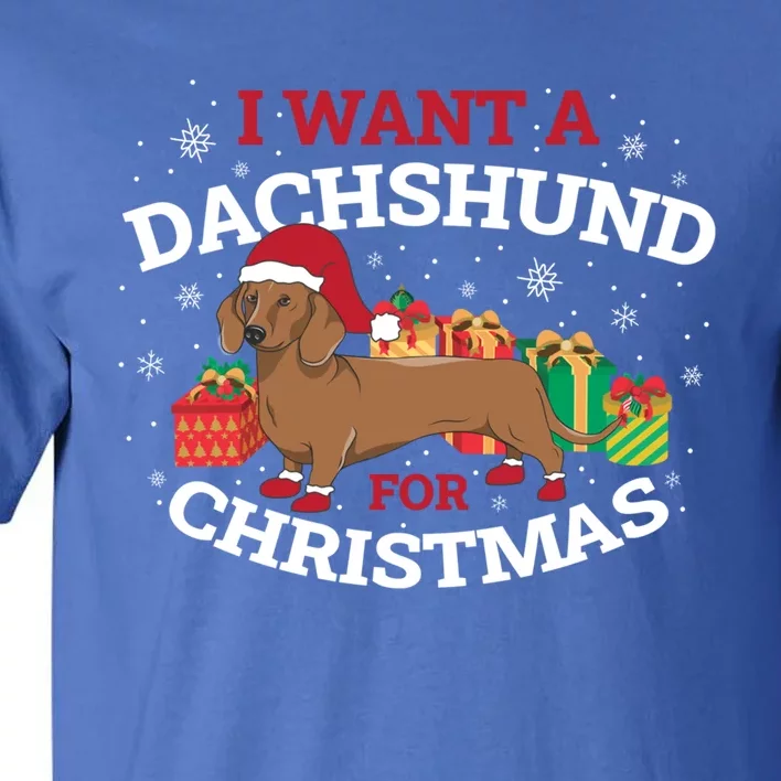 I Want A Dachshund For Christmas Cute Gift Tall T-Shirt