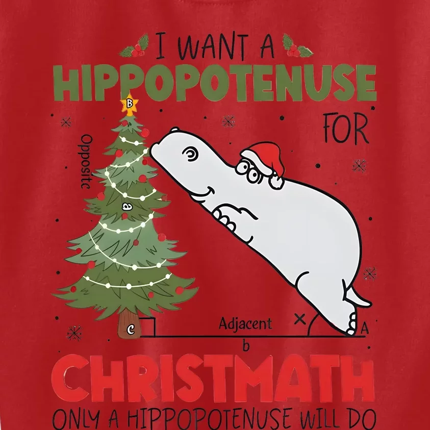 I Want A Hippopotenuse For Christmath Only A Hippopotenuse Will Do Kids Sweatshirt