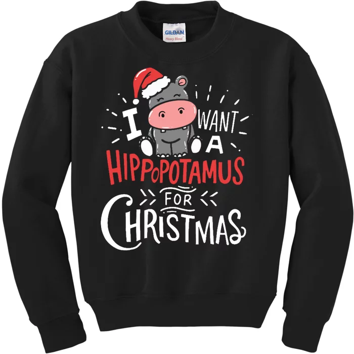 I Want A Hippopotamus For Christmas Funny Cute Kids Sweatshirt