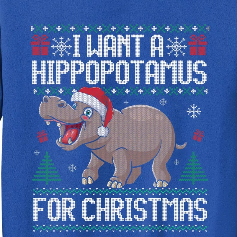 I Want A Hippopotamus For Christmas Ugly Xmas Sweater Hippo Gift Tall Sweatshirt