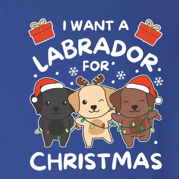 I Want A Labrador For Christmas Cute Dogs Gift Toddler Long Sleeve Shirt