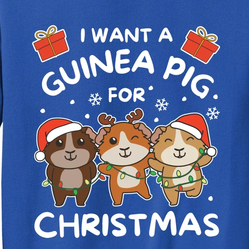 I Want A Guinea Pig For Christmas Cute Animals Gift Sweatshirt