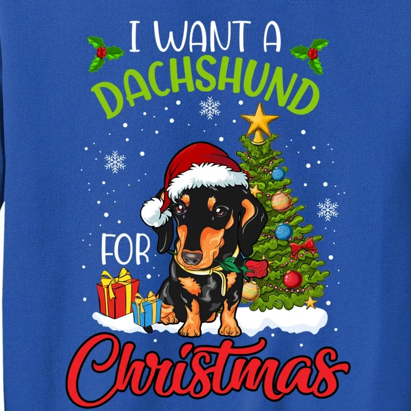 I Want A Dachshund For Christmas Xmas Hippo Cool Gift Tall Sweatshirt