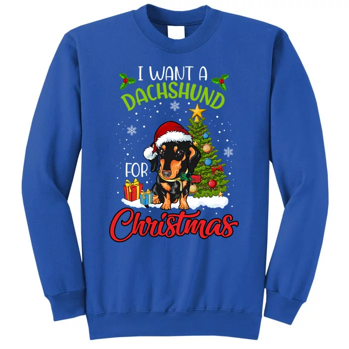 I Want A Dachshund For Christmas Xmas Hippo Cool Gift Tall Sweatshirt