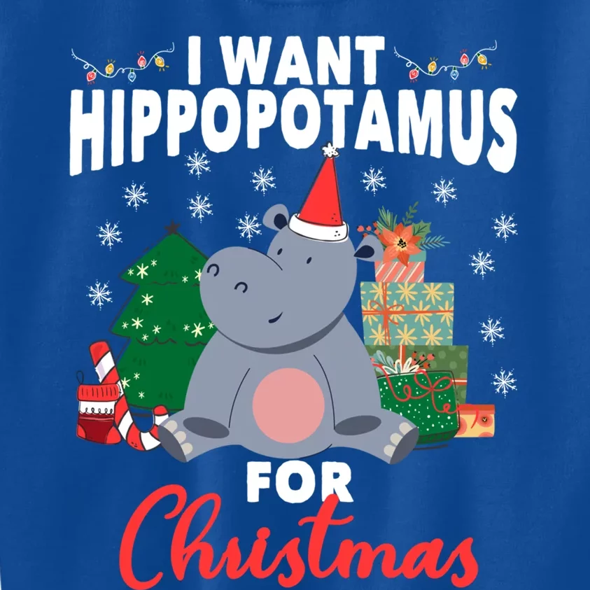 I Want A Hippopotamus For Christmas Xmas Hippo Cute Gift Kids Sweatshirt