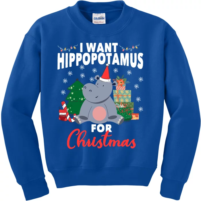 I Want A Hippopotamus For Christmas Xmas Hippo Cute Gift Kids Sweatshirt