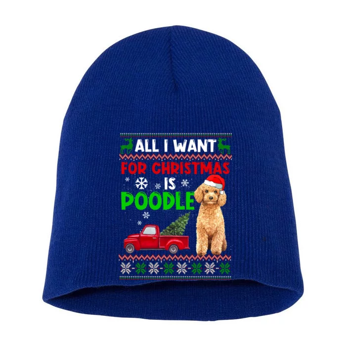 I Want A Poodle For Christmas Ugly Sweater Dog Xmasoutfit Cute Gift Short Acrylic Beanie