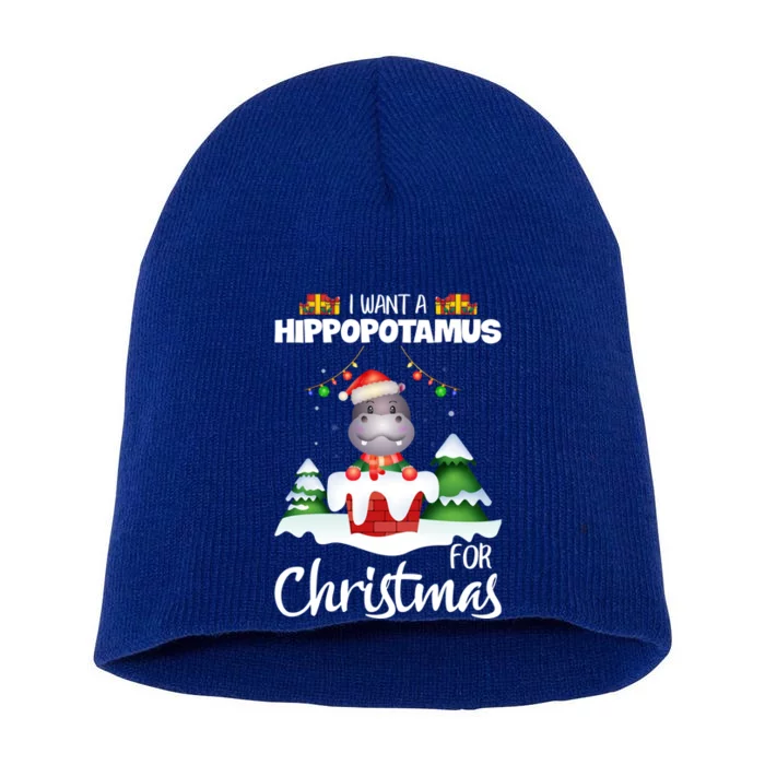 I Want A Hippopotamus For Christmas Xmas Cute Funny Gift Short Acrylic Beanie