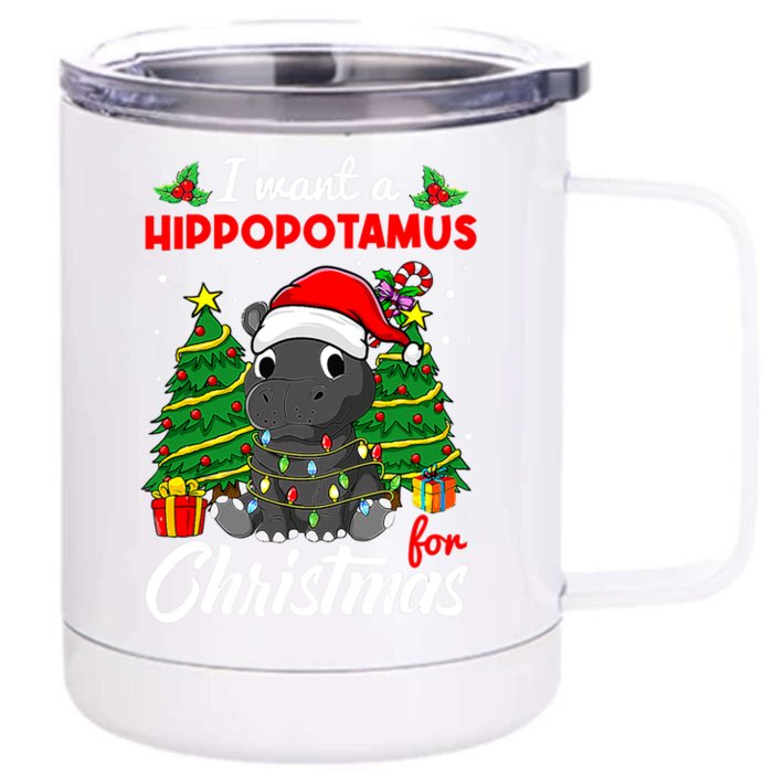 I Want A Hippopotamus For Christmas Xmas Boys Gift Front & Back 12oz Stainless Steel Tumbler Cup