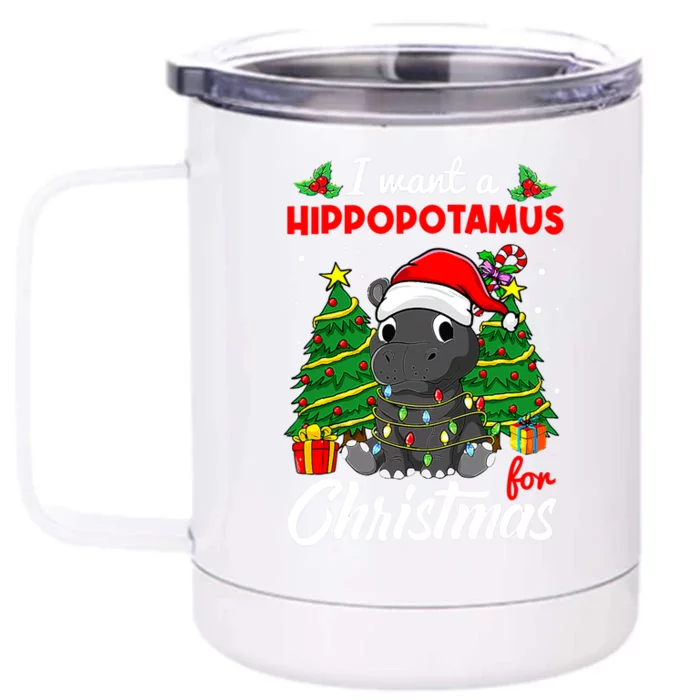 I Want A Hippopotamus For Christmas Xmas Boys Gift Front & Back 12oz Stainless Steel Tumbler Cup