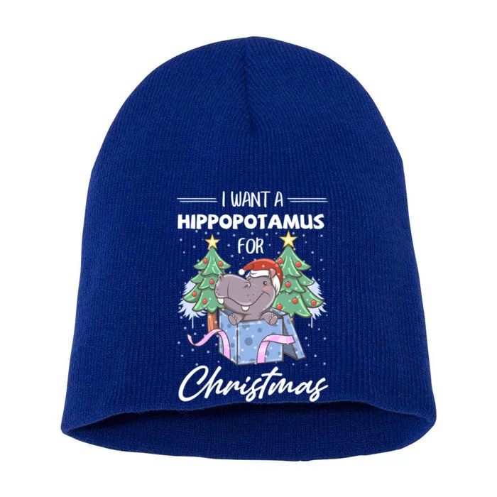 I Want A Hippopotamus For Christmas Xmas Cute Funny Gift Short Acrylic Beanie