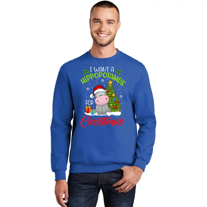 I Want A Hippopotamus For Christmas Xmas Hippo For Funny Gift Tall Sweatshirt