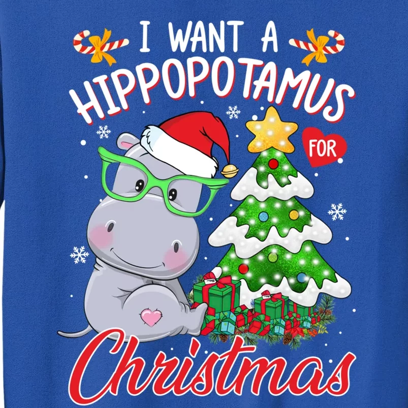 I Want A Hippopotamus For Christmas Xmas Hippo For Gift Tall Sweatshirt