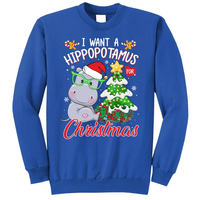 I Want A Hippopotamus For Christmas Xmas Hippo For Gift Tall Sweatshirt