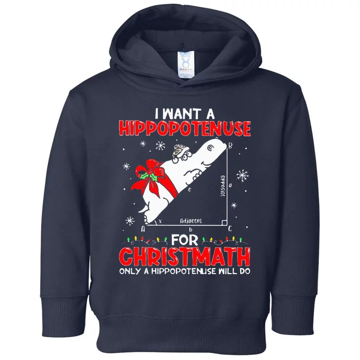 I Want A Hippopotenuse For Christmath Math Teacher Christmas Toddler Hoodie