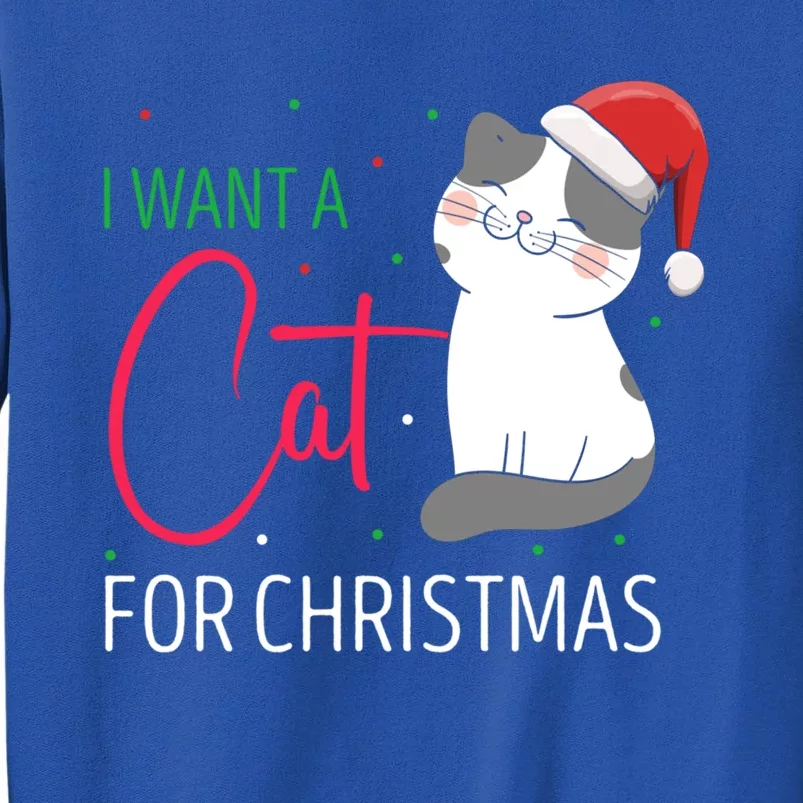 I Want A Cat For Christmas Cute Kitten Cat Lover Present Gift Sweatshirt