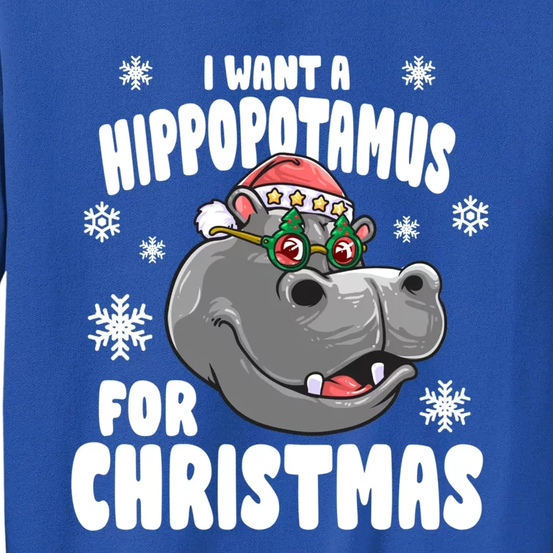 I Want A Hippopotamus For Christmas Xmas Hippo Cute Gift Tall Sweatshirt