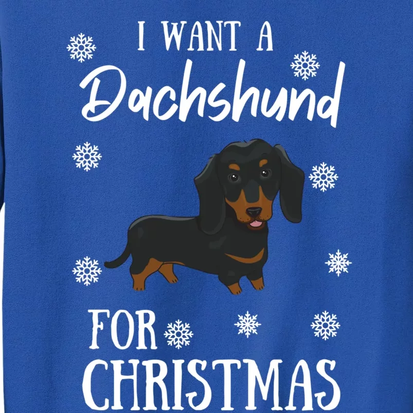 I Want A Dachshund For Christmas Weenie Dog Gift Cute Gift Sweatshirt