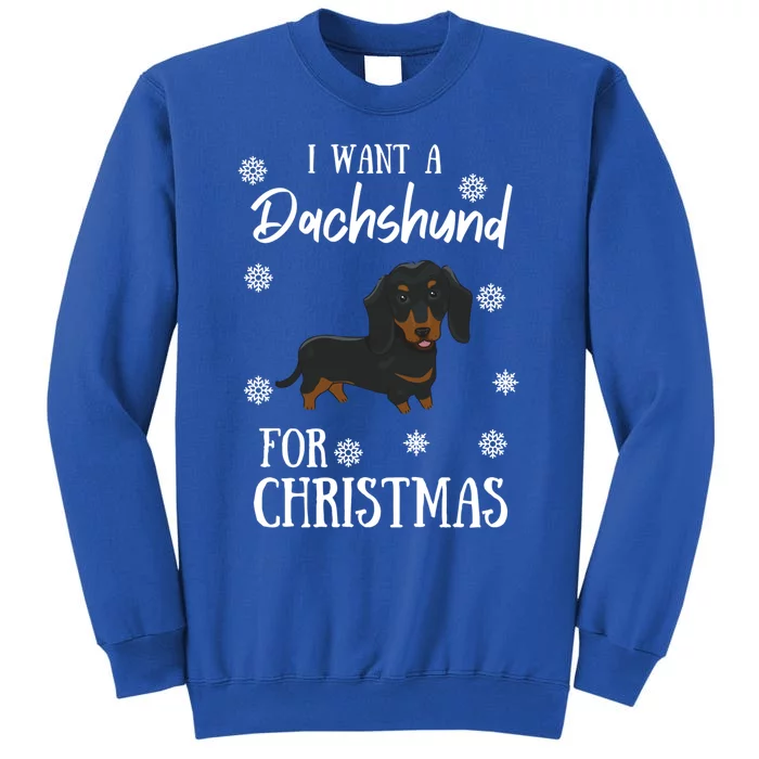 I Want A Dachshund For Christmas Weenie Dog Gift Cute Gift Sweatshirt