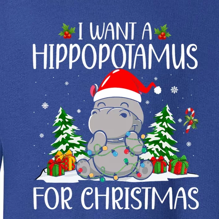 I Want A Hippopotamus For Christmas Xmas Hippo Cute Gift Toddler Sweatshirt