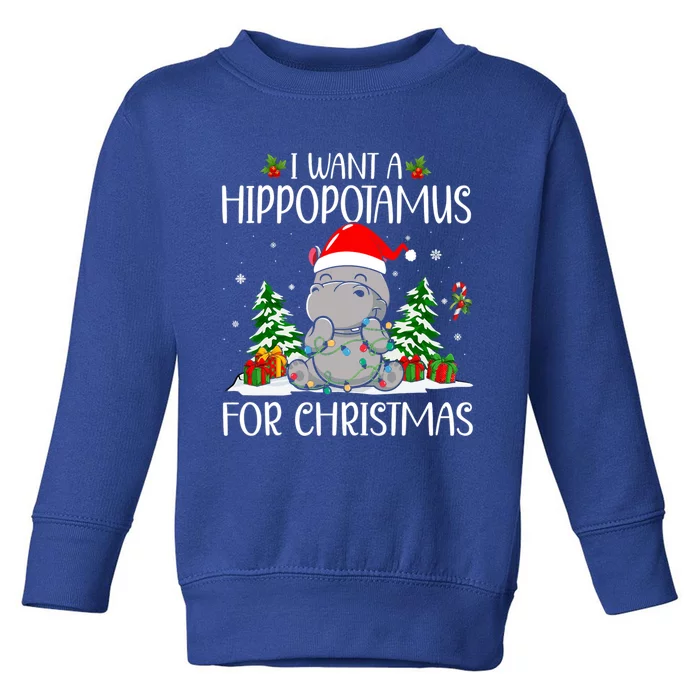 I Want A Hippopotamus For Christmas Xmas Hippo Cute Gift Toddler Sweatshirt