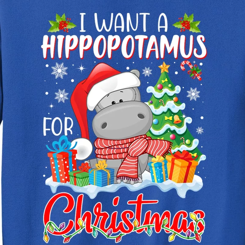 I Want A Hippopotamus For Christmas Xmas Hippo For Gift Tall Sweatshirt