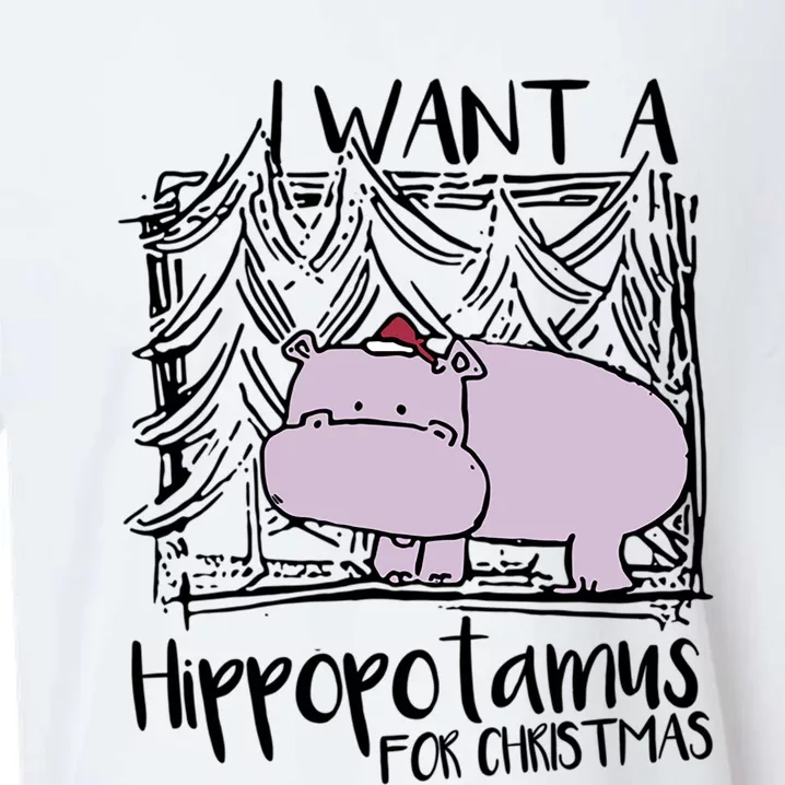 I Want A Hippopotamus For Christmas Hippo Gift Sueded Cloud Jersey T-Shirt