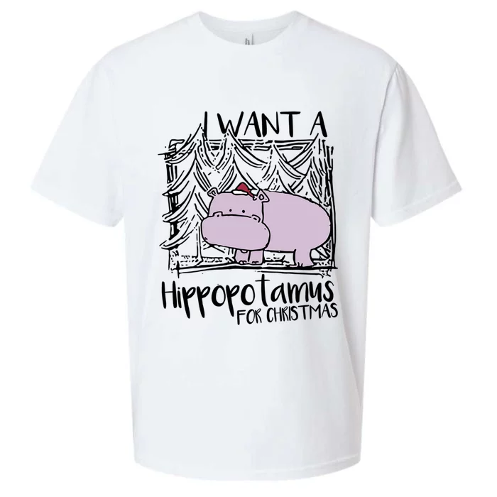 I Want A Hippopotamus For Christmas Hippo Gift Sueded Cloud Jersey T-Shirt