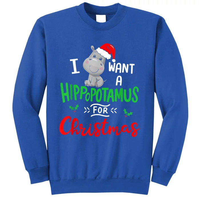 I Want A Hippopotamus For Christmas Xmas Pajama Hippo Lover Funny Gift Sweatshirt