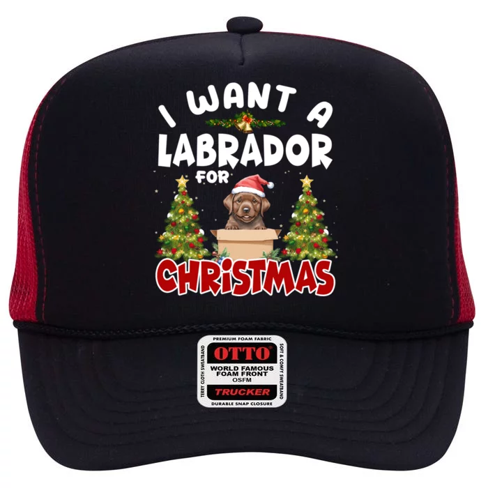 I Want A Labrador For Christmas Labs Mom Dog Lover Christmas Gift High Crown Mesh Trucker Hat