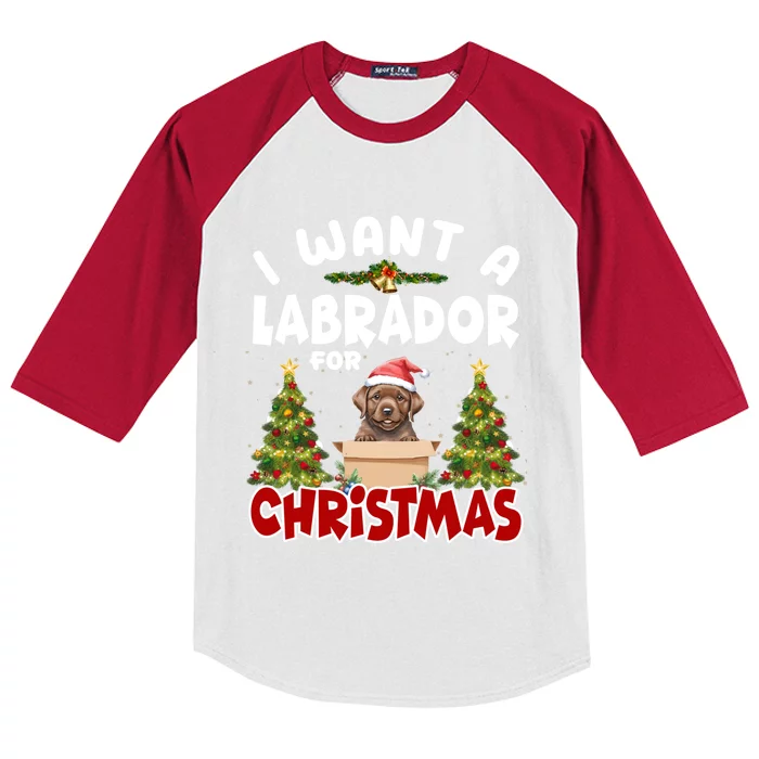 I Want A Labrador For Christmas Labs Mom Dog Lover Christmas Gift Kids Colorblock Raglan Jersey