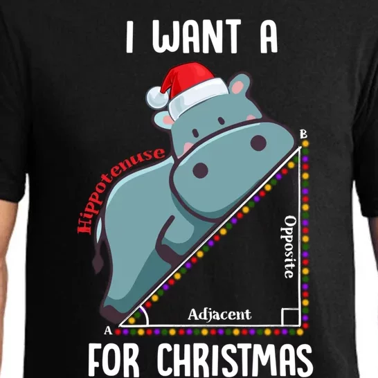 I Want A Hippotenuse For Christmas Math Teacher Xmas Hippo Gift Pajama Set