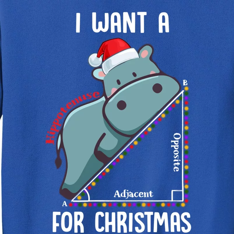 I Want A Hippotenuse For Christmas Math Teacher Xmas Hippo Gift Sweatshirt