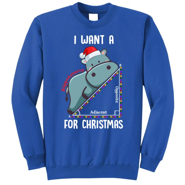 I Want A Hippotenuse For Christmas Math Teacher Xmas Hippo Gift Sweatshirt