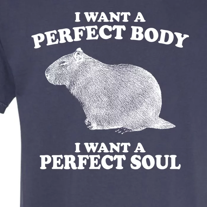 I Want A Perfect Body I Want A Perfect Soul Capybara Garment-Dyed Heavyweight T-Shirt