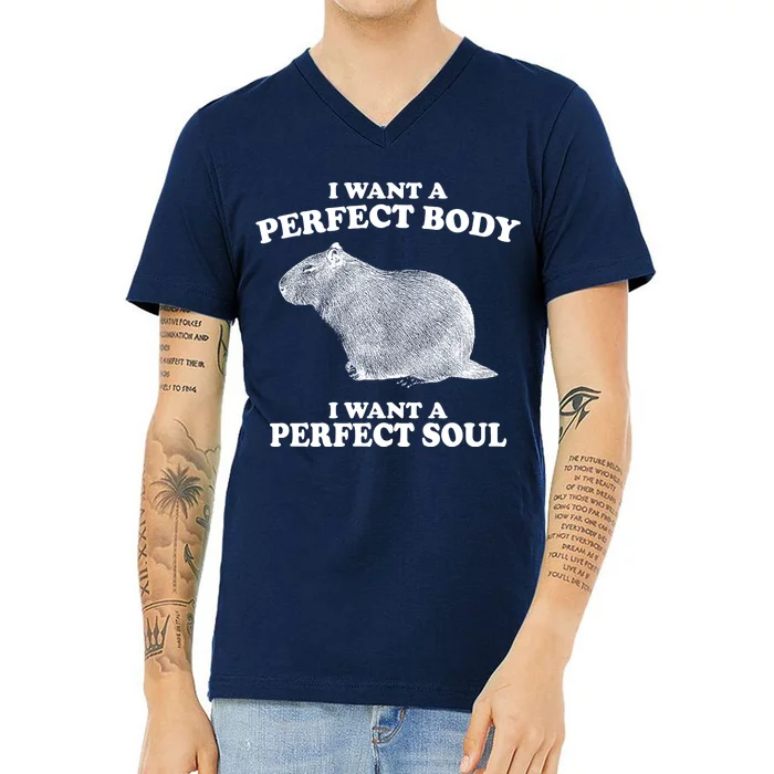 I Want A Perfect Body I Want A Perfect Soul Capybara V-Neck T-Shirt