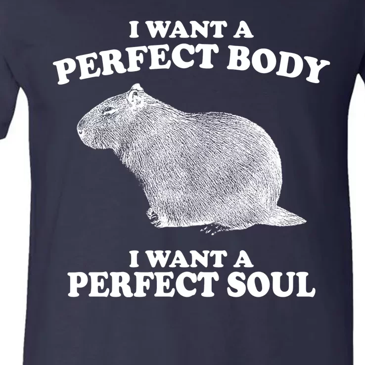 I Want A Perfect Body I Want A Perfect Soul Capybara V-Neck T-Shirt