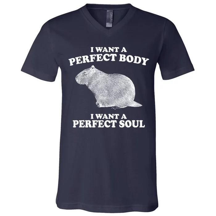 I Want A Perfect Body I Want A Perfect Soul Capybara V-Neck T-Shirt