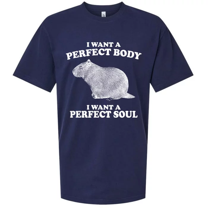 I Want A Perfect Body I Want A Perfect Soul Capybara Sueded Cloud Jersey T-Shirt